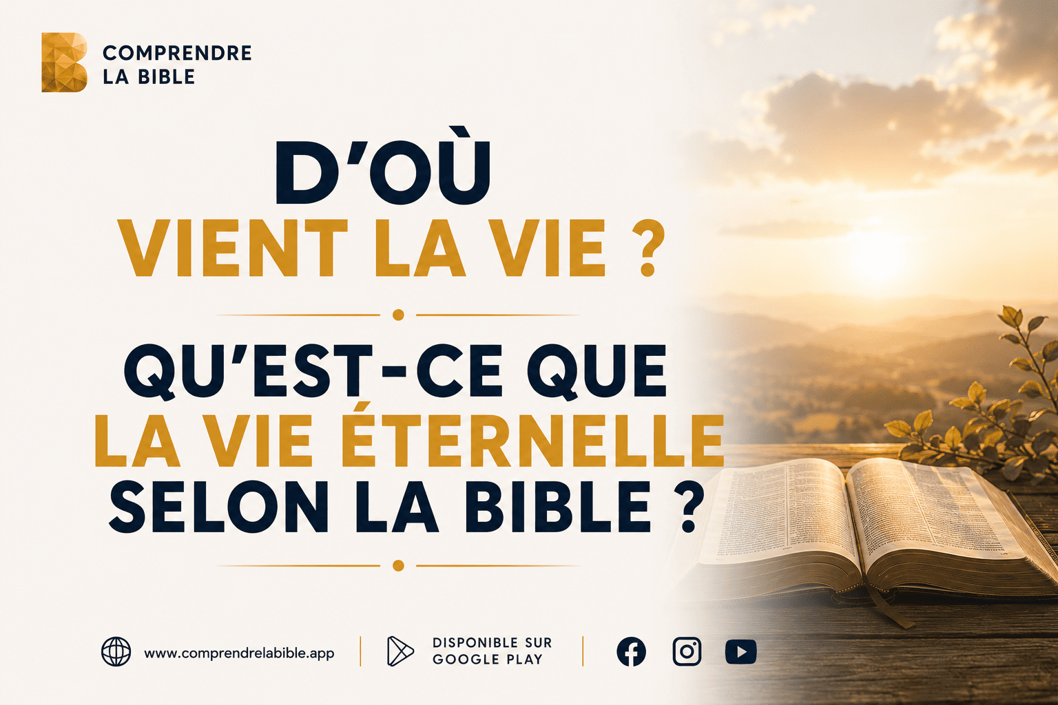 Bible ouverte dans un champ de fleurs sauvages baigné de soleil