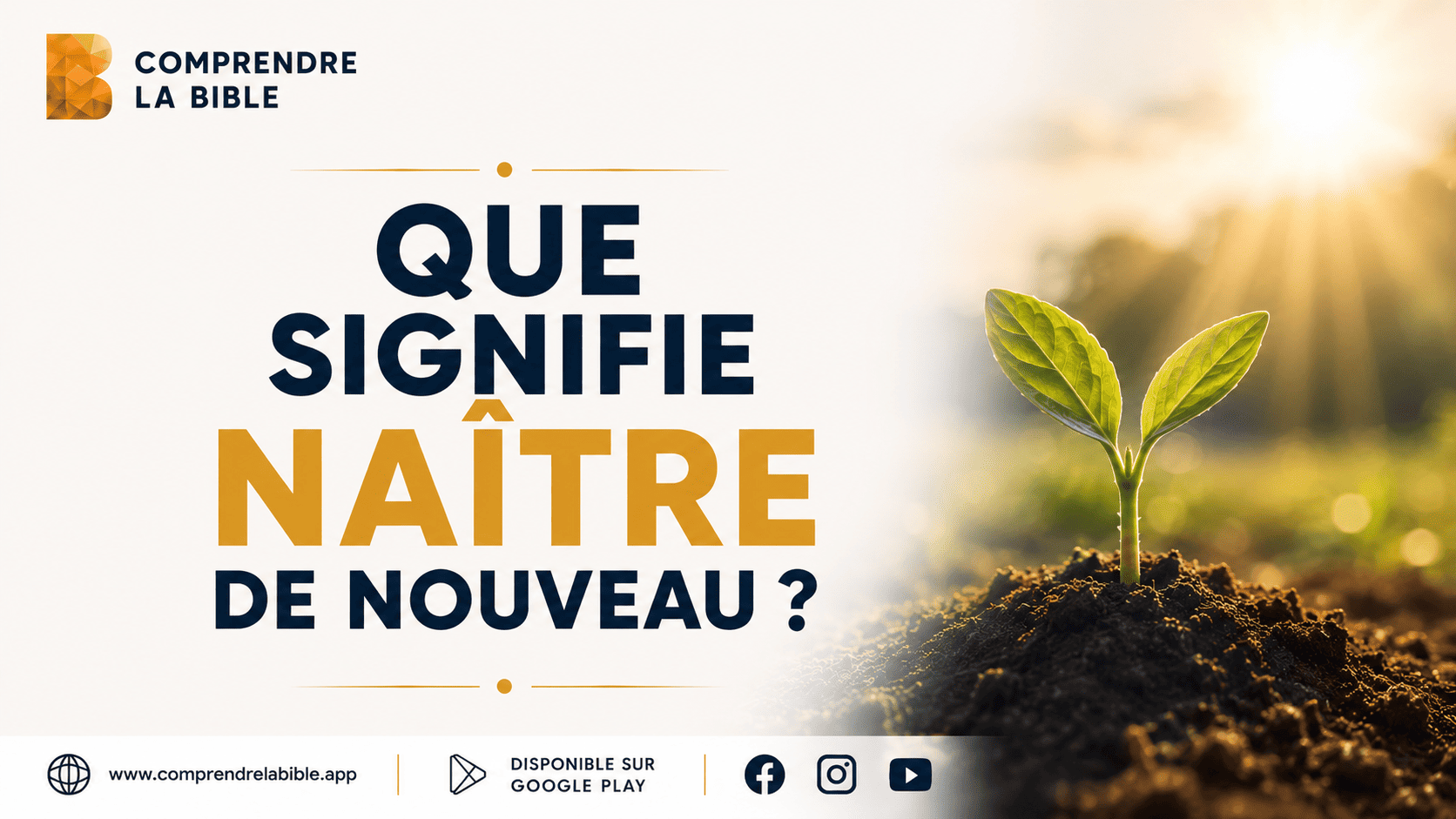 Jeune pousse verte sortant de la terre à contre-jour