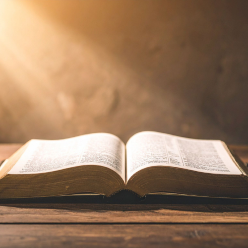 Comment faire pour mieux comprendre la bible ?